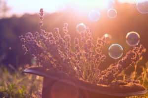 Read more about the article 14 | The Gown the Goddess Wears: Earth Magic for Modern Witches